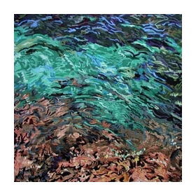 Louder than words  aqua incognita i