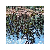 Whyte Lake reflecting