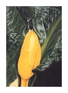 encounter &ndash; sc.iv