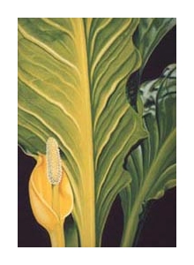 come hell or high water &ndash; sc.vii